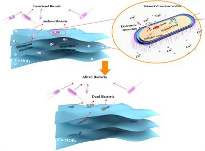 The synthesis and highly effective antibacterial properties of Cu-3, 5-dimethy l-1, 2, 4-triazole metal organic frameworks